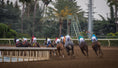Load image into Gallery viewer, Santa Anita Gold Cup 2026