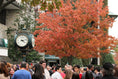 Load image into Gallery viewer, Lexington Fall Experience