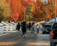Load image into Gallery viewer, Lexington Fall Experience