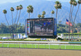 Load image into Gallery viewer, Santa Anita Gold Cup 2026