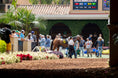 Load image into Gallery viewer, Pacific Classic at Del Mar