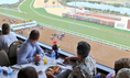 Load image into Gallery viewer, 2026 Del Mar Summer