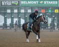 Load image into Gallery viewer, 2026 Belmont Stakes