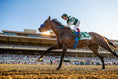 Load image into Gallery viewer, Pacific Classic at Del Mar