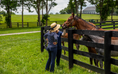 Load image into Gallery viewer, 2026 Lexington Fall Weekends