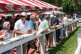 Load image into Gallery viewer, Saratoga Summer 2025