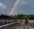 Load image into Gallery viewer, Saratoga Summer 2025