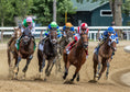 Load image into Gallery viewer, 2026 Belmont Stakes
