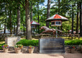Load image into Gallery viewer, 2026 Belmont Stakes