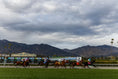 Load image into Gallery viewer, 2026 Santa Anita Derby