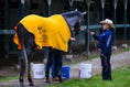 Load image into Gallery viewer, 2026 Belmont Stakes