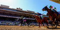 Load image into Gallery viewer, Breeders' Cup Tickets 2025