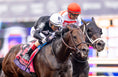 Load image into Gallery viewer, Breeders' Cup Tickets 2025