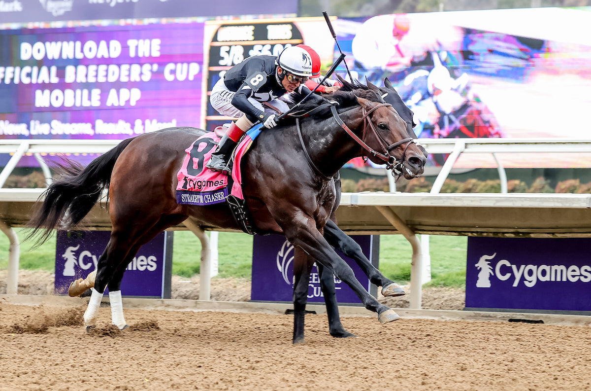 Breeders' Cup 2026 – MyRacehorse Experiences