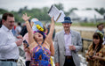 Load image into Gallery viewer, 151st Preakness Stakes