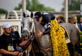 Load image into Gallery viewer, 151st Preakness Stakes