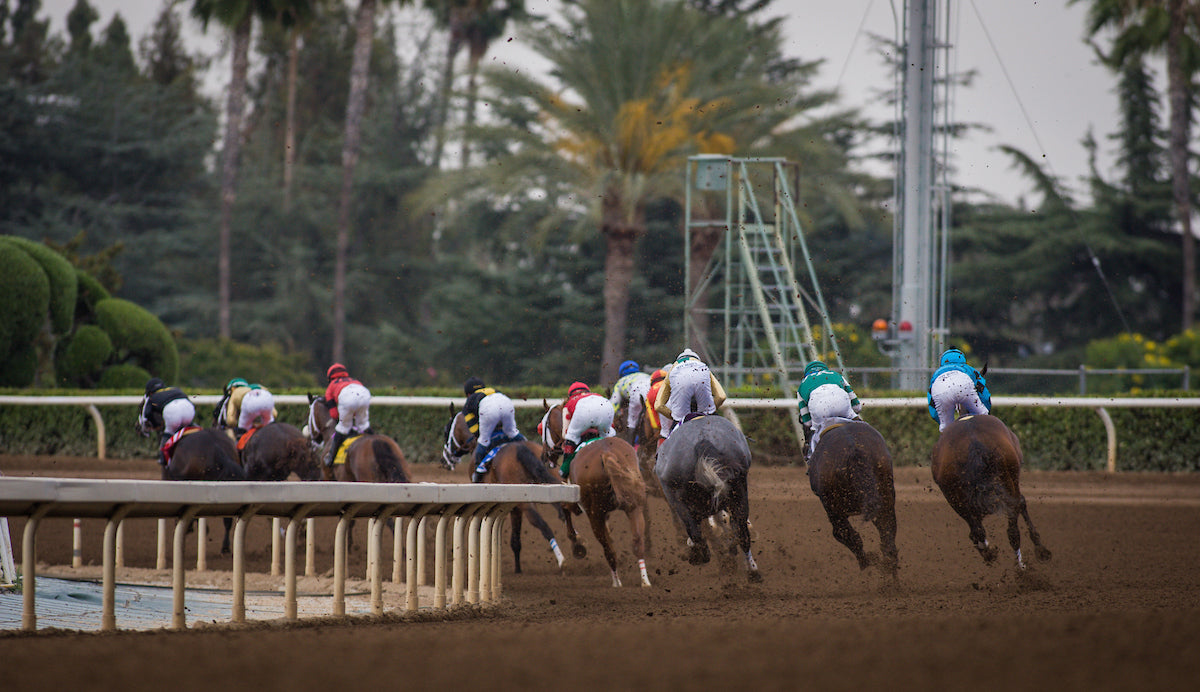 Santa Anita Gold Cup - May 25-26, 2025