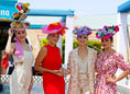 Load image into Gallery viewer, Del Mar Summer Experience 2026
