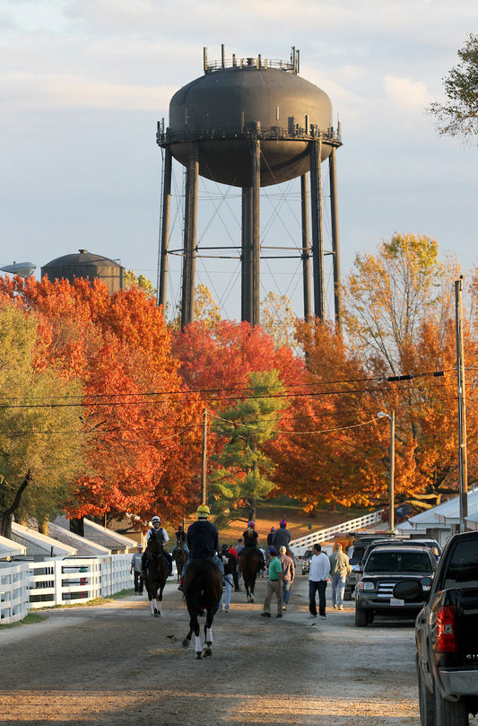 Lexington Fall Experiences