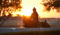 Load image into Gallery viewer, Ocala Farm Tours
