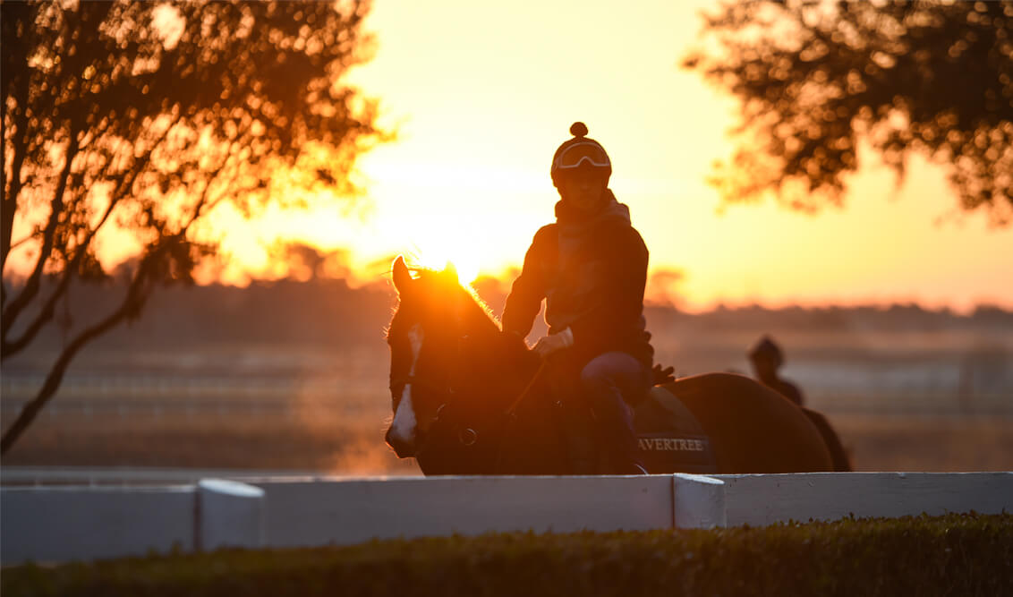 Ocala Farm Tours