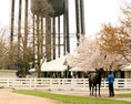 Load image into Gallery viewer, 2026 Keeneland Race Day Experience

