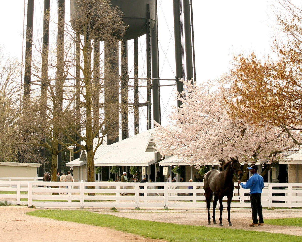 2026 Keeneland Race Day Experience