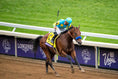 Load image into Gallery viewer, 2026 Breeders' Cup Kickoff Party
