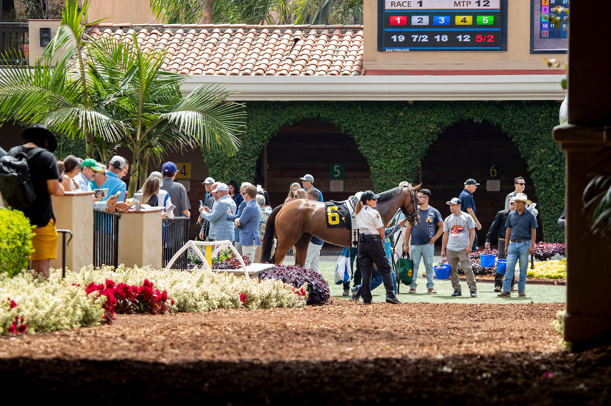 Pacific Classic at Del Mar