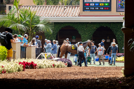 Pacific Classic at Del Mar