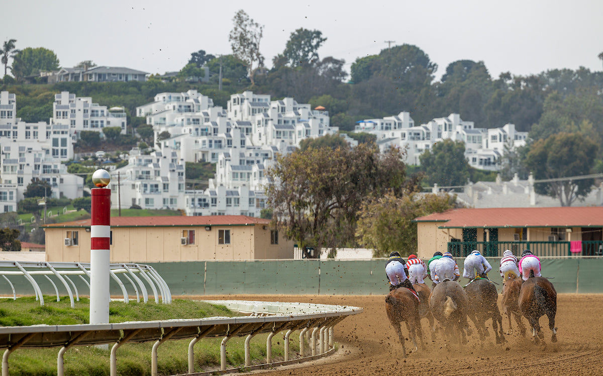 Del Mar Summer