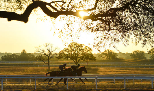 Ocala Farm Tours