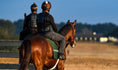 Load image into Gallery viewer, Ocala Farm Tours

