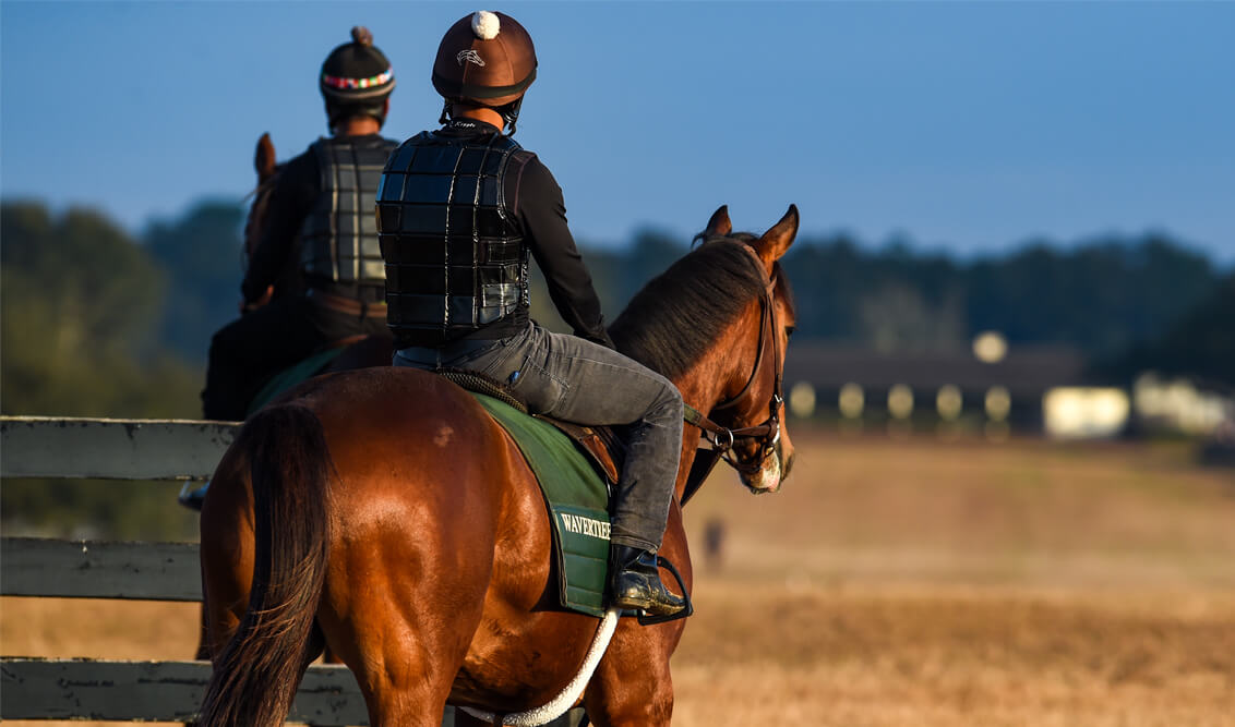 Ocala Farm Tours