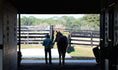 Load image into Gallery viewer, Ocala Farm Tours
