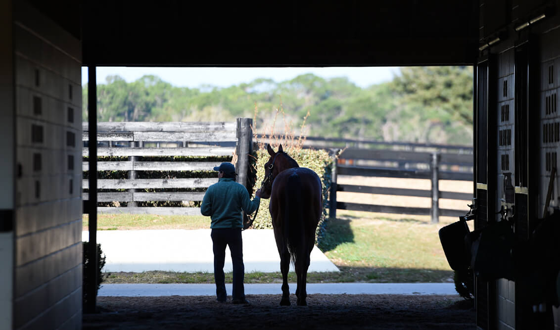 Ocala Farm Tours