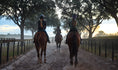 Load image into Gallery viewer, Ocala Farm Tours
