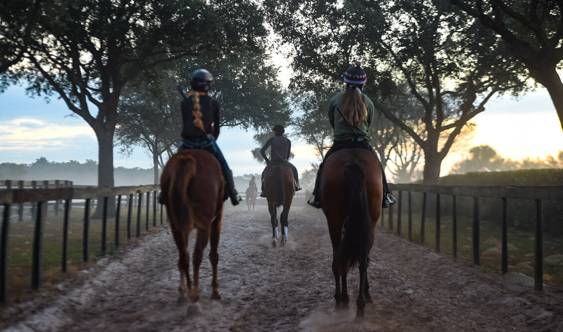 Ocala Farm Tours