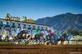 Load image into Gallery viewer, Kentucky Derby Watch Party at Santa Anita
