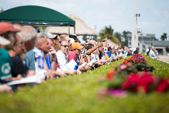 Fountain of Youth – MyRacehorse Experiences