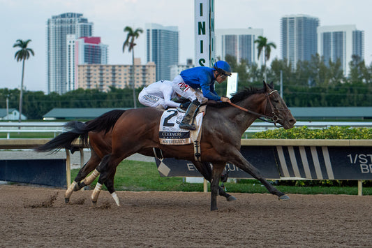 2026 Fountain of Youth