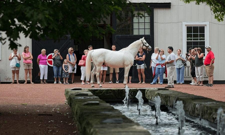 Lexington Summer Experiences