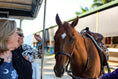 Load image into Gallery viewer, Florida Derby 2025
