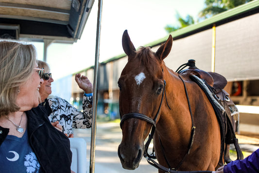 2026 Fountain of Youth