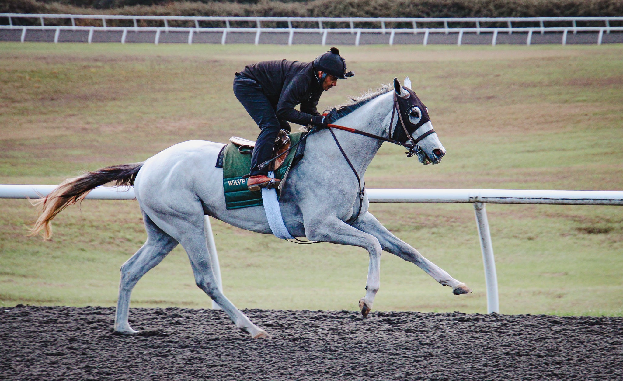 2026 Ocala Owner Showcase