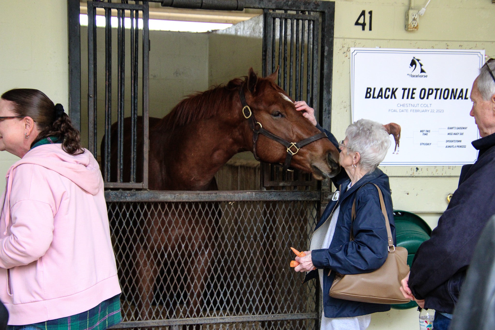 2026 Ocala Owner Showcase