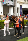 Load image into Gallery viewer, Florida Derby 2025
