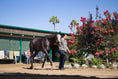 Load image into Gallery viewer, Pacific Classic at Del Mar
