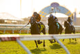 Load image into Gallery viewer, 2026 Del Mar Summer

