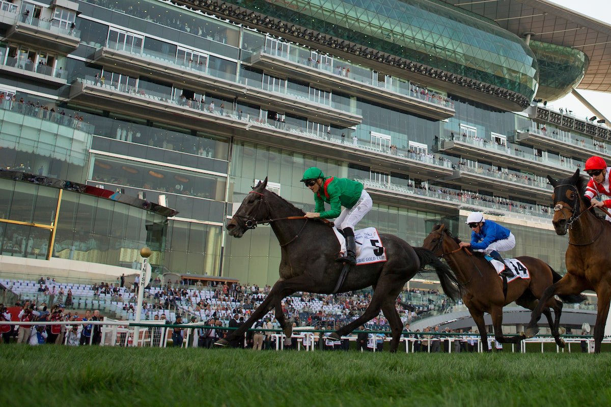 Meydan Racing Dubai World Cup - Weekend Only Experience – MyRacehorse Experiences